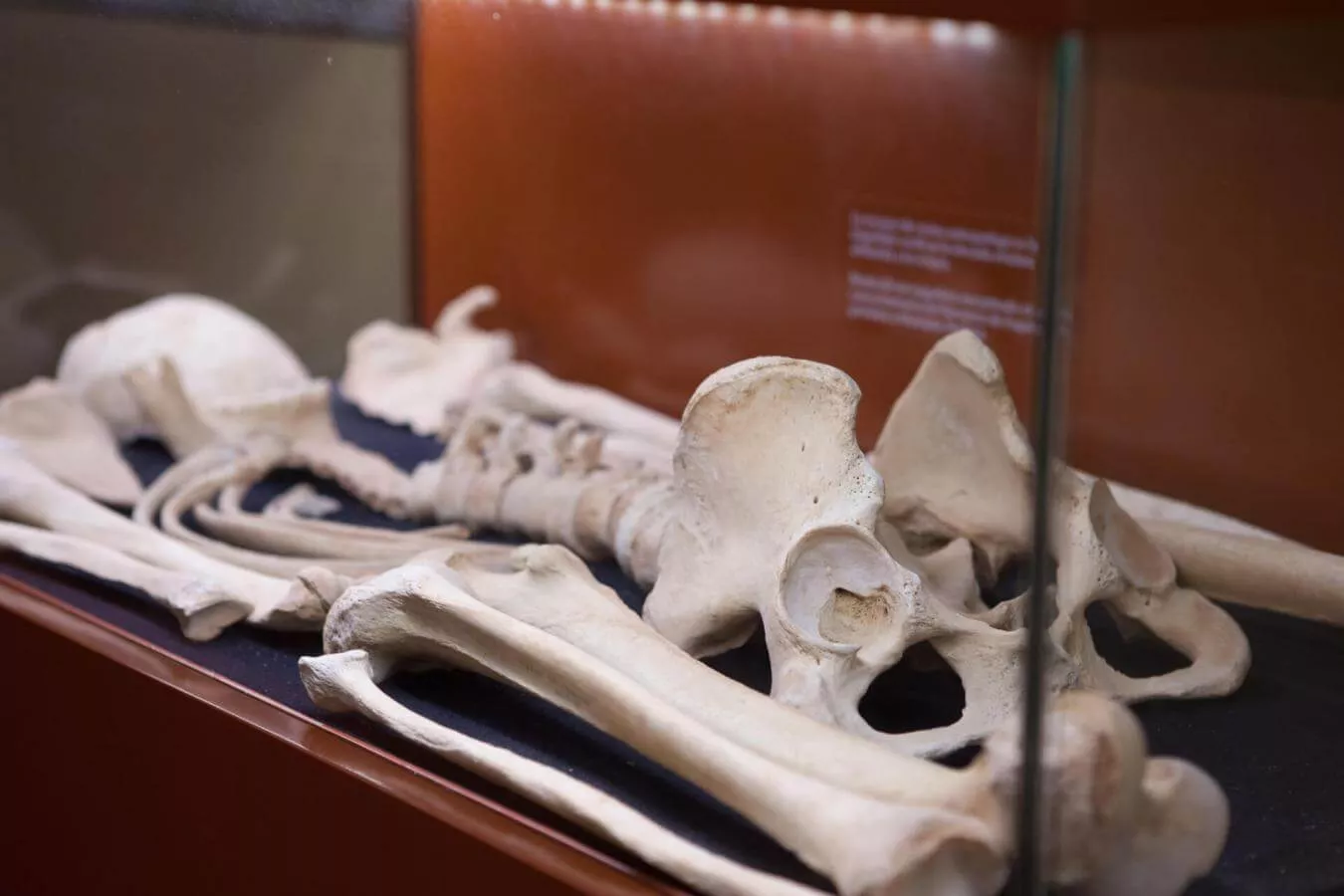 El Museo Arqueol Gico De Fuerteventura Difunde El Patrimonio Insular