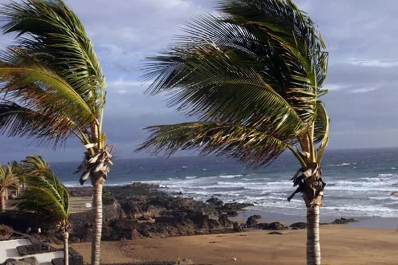 Intentar Soportar Arena Sube con intensidad el viento del sur a partir de medio día de este domingo  - Noticias Fuerteventura