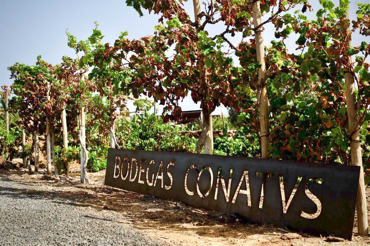 Bodegas Conatvs gana la medalla de oro en el Mondial des Vins Extrêmes